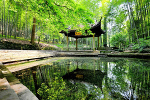 东京奥运女排冠军回忆杀，回顾夺冠历程，再燃心中激情！